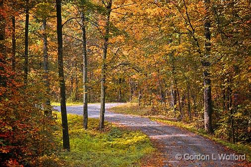 Autumn Backroad_22861.jpg - Photographed at Rideau Lakes, Ontario, Canada.